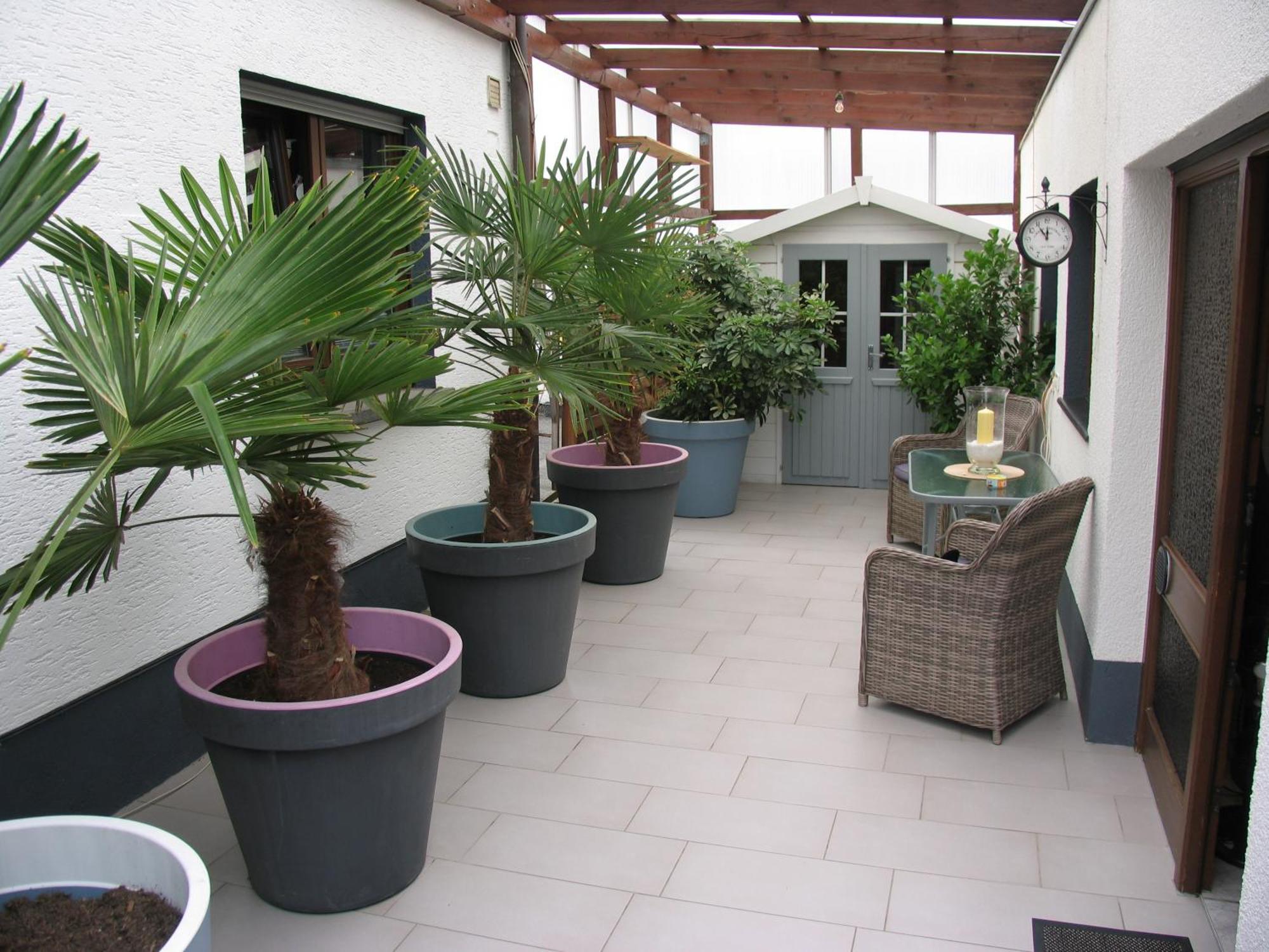 Ferienwohnung Pargen Bullay Exterior foto